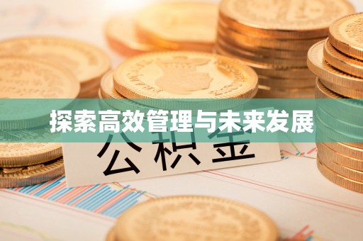 金峰探索高效管理与未来发展