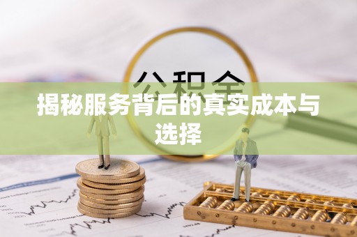 金峰揭秘服务背后的真实成本与选择