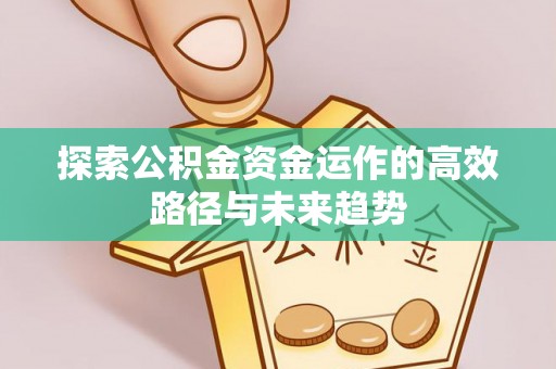金峰探索公积金资金运作的高效路径与未来趋势