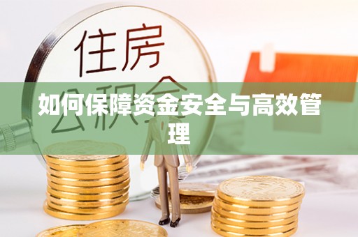 金峰如何保障资金安全与高效管理