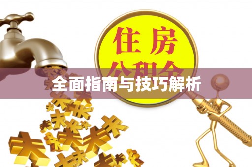 金峰全面指南与技巧解析