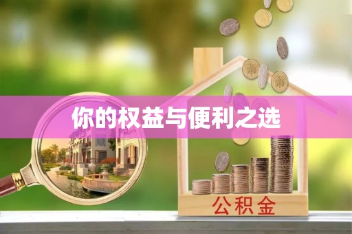 金峰你的权益与便利之选