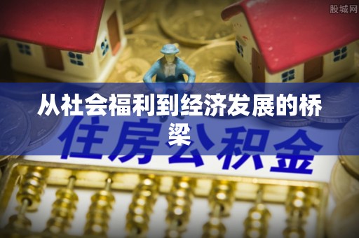 金峰从社会福利到经济发展的桥梁