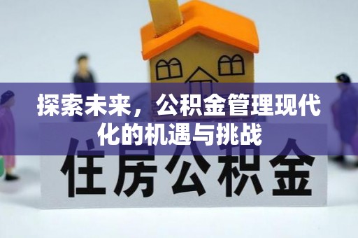 金峰探索未来，公积金管理现代化的机遇与挑战