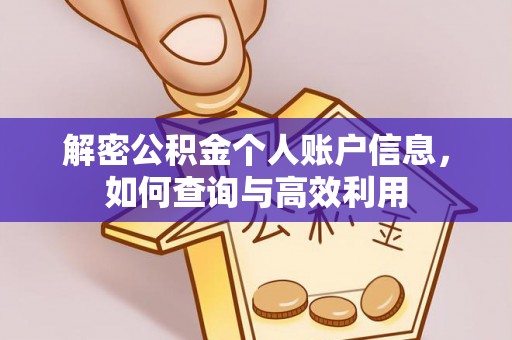 金峰解密公积金个人账户信息，如何查询与高效利用