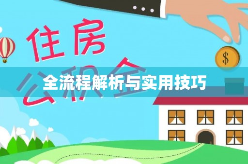 金峰全流程解析与实用技巧