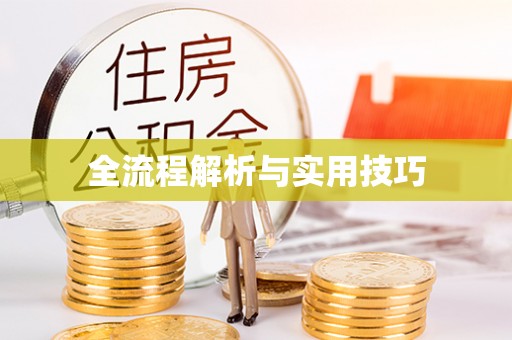 金峰全流程解析与实用技巧