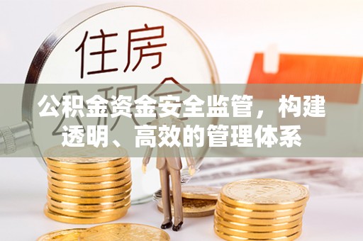 金峰公积金资金安全监管，构建透明、高效的管理体系