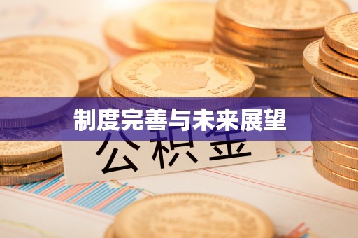 金峰制度完善与未来展望
