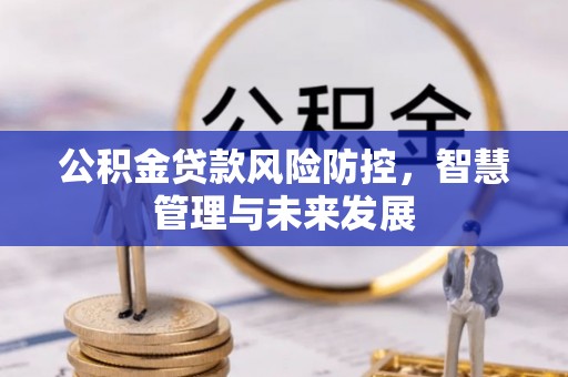 金峰公积金贷款风险防控，智慧管理与未来发展