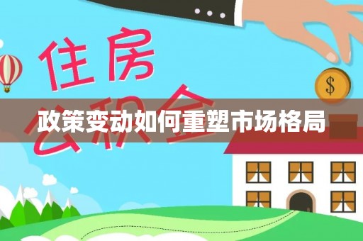 金峰政策变动如何重塑市场格局