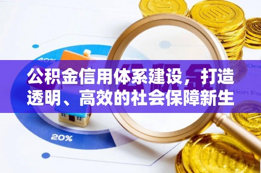 金峰公积金信用体系建设，打造透明、高效的社会保障新生态