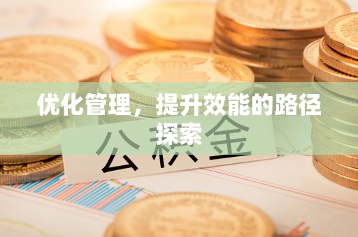 金峰优化管理，提升效能的路径探索