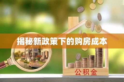 金峰揭秘新政策下的购房成本