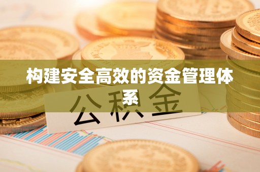 金峰构建安全高效的资金管理体系
