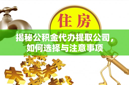 金峰揭秘公积金代办提取公司，如何选择与注意事项