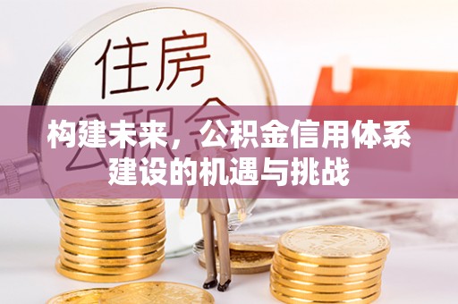 金峰构建未来，公积金信用体系建设的机遇与挑战