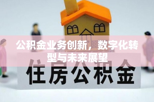 金峰公积金业务创新，数字化转型与未来展望