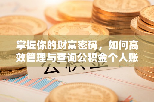 金峰掌握你的财富密码，如何高效管理与查询公积金个人账户信息