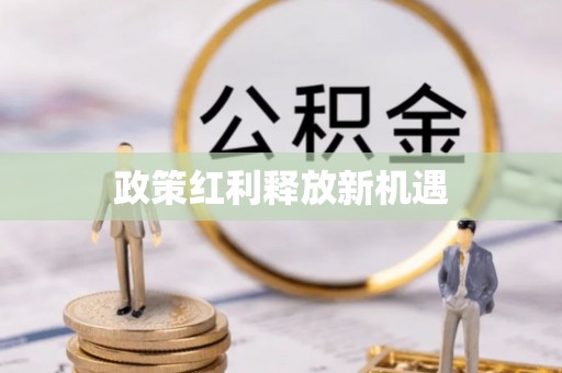 金峰政策红利释放新机遇