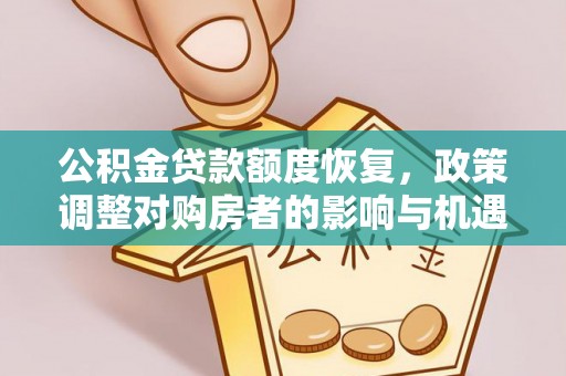 金峰公积金贷款额度恢复，政策调整对购房者的影响与机遇