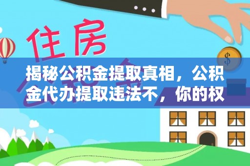 金峰揭秘公积金提取真相，公积金代办提取违法不，你的权益如何保障？