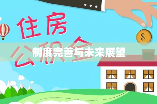 金峰制度完善与未来展望