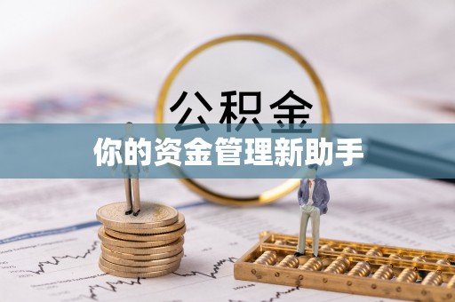金峰你的资金管理新助手