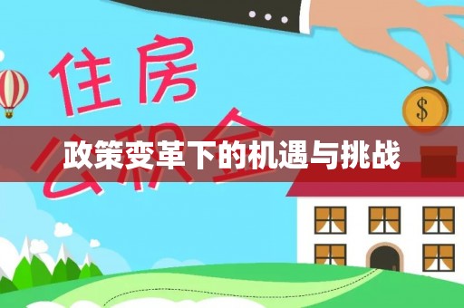 金峰政策变革下的机遇与挑战