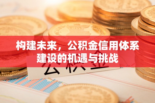 金峰构建未来，公积金信用体系建设的机遇与挑战