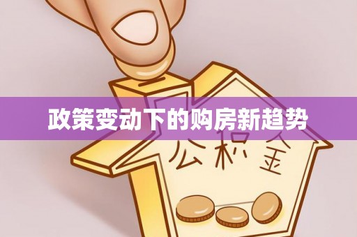 金峰政策变动下的购房新趋势