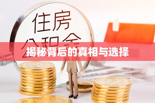 金峰揭秘背后的真相与选择