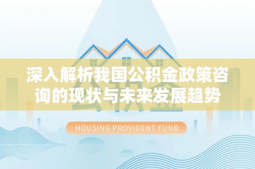 金峰深入解析我国公积金政策咨询的现状与未来发展趋势