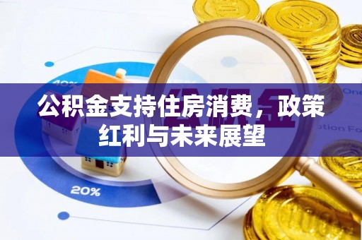 金峰公积金支持住房消费，政策红利与未来展望