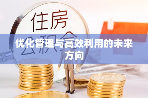 金峰优化管理与高效利用的未来方向