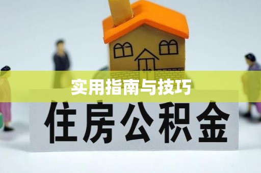 金峰实用指南与技巧