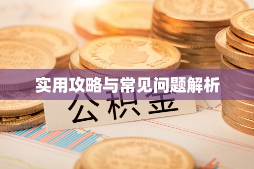 金峰实用攻略与常见问题解析