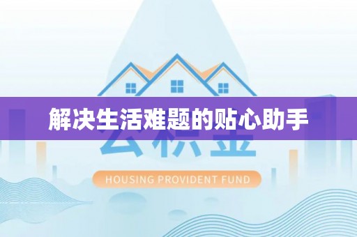 金峰解决生活难题的贴心助手