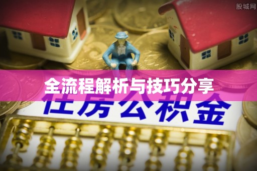 金峰全流程解析与技巧分享