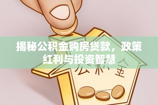金峰揭秘公积金购房贷款，政策红利与投资智慧