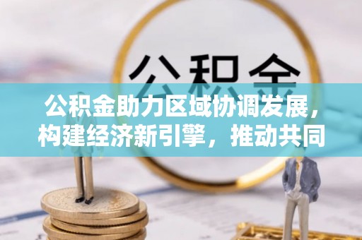 金峰公积金助力区域协调发展，构建经济新引擎，推动共同富裕