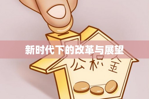 金峰新时代下的改革与展望