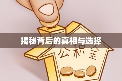 金峰揭秘背后的真相与选择