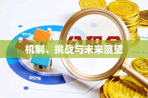 金峰机制、挑战与未来展望