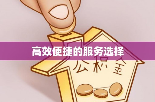 金峰高效便捷的服务选择