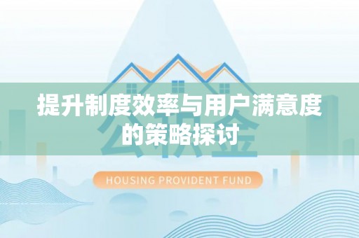 金峰提升制度效率与用户满意度的策略探讨