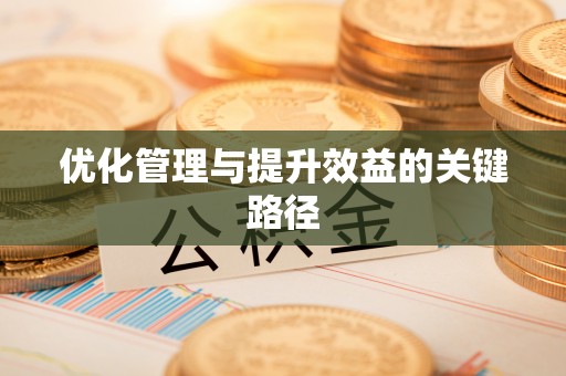 金峰优化管理与提升效益的关键路径