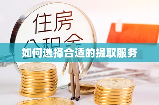 金峰如何选择合适的提取服务