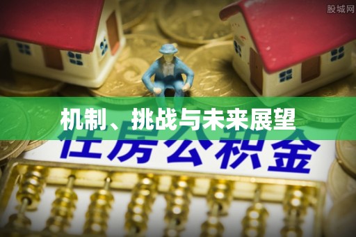 金峰机制、挑战与未来展望